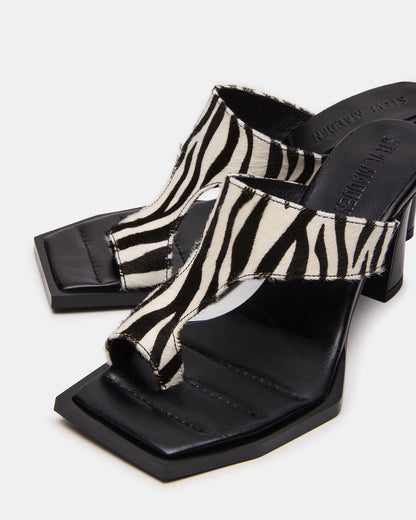 Steve Madden ALAMEDA Zebra Square-Toe Mule Women's Heel
