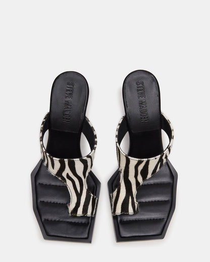 Steve Madden ALAMEDA Zebra Square-Toe Mule Women's Heel