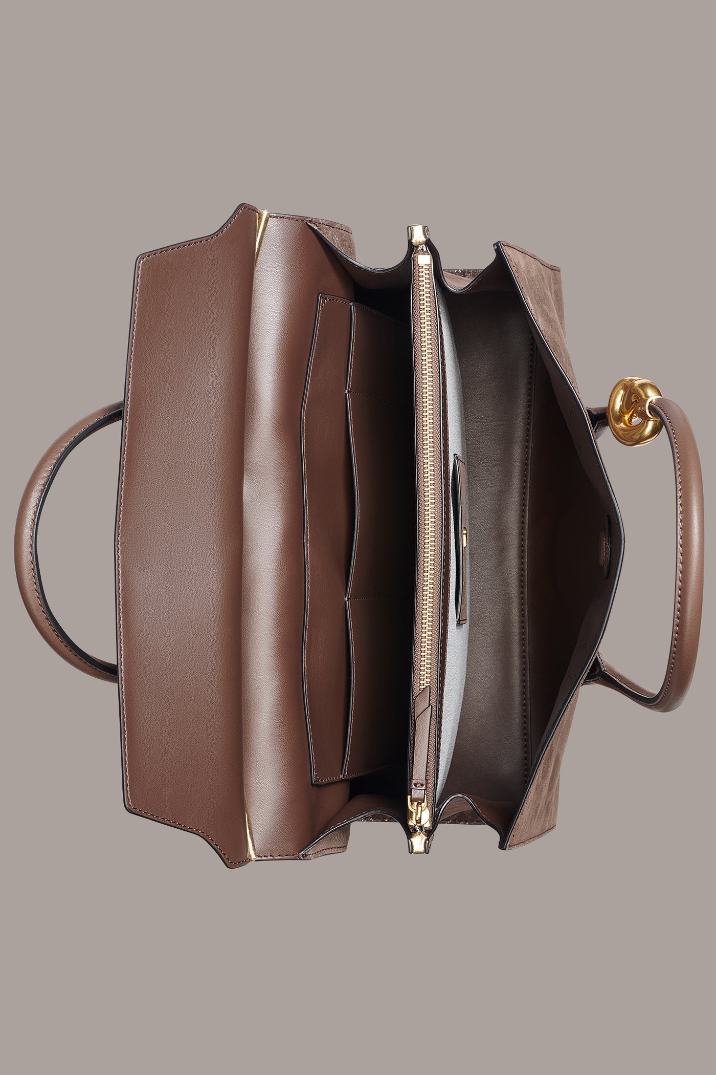 Brown Multi LODEN SNAKE-EFFECT SATCHEL BAG Donna Karan