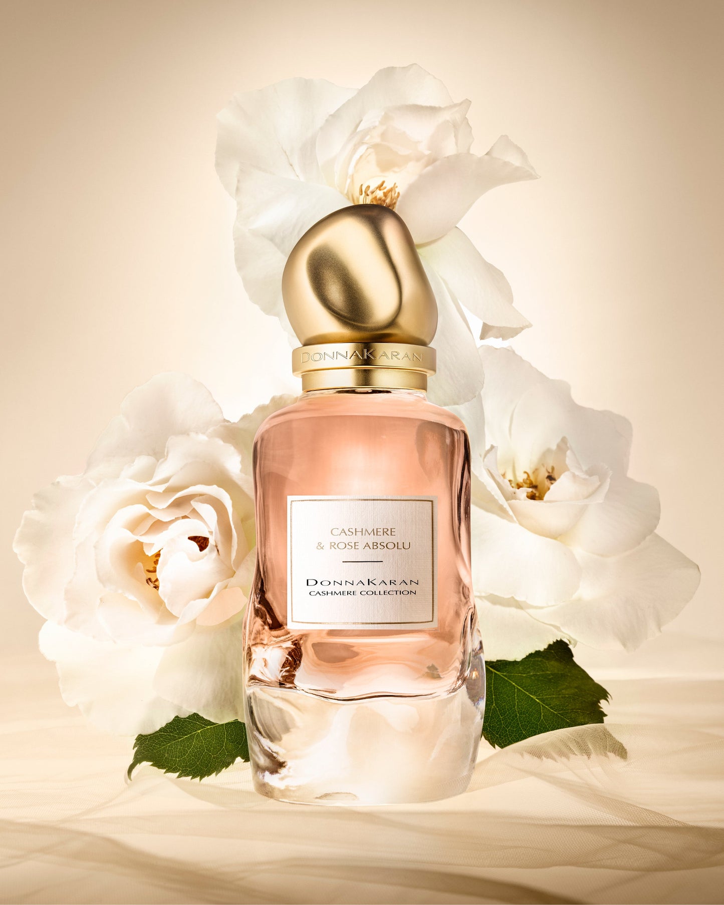 No Color CASHMERE & ROSE ABSOLU 100 ML Donna Karan