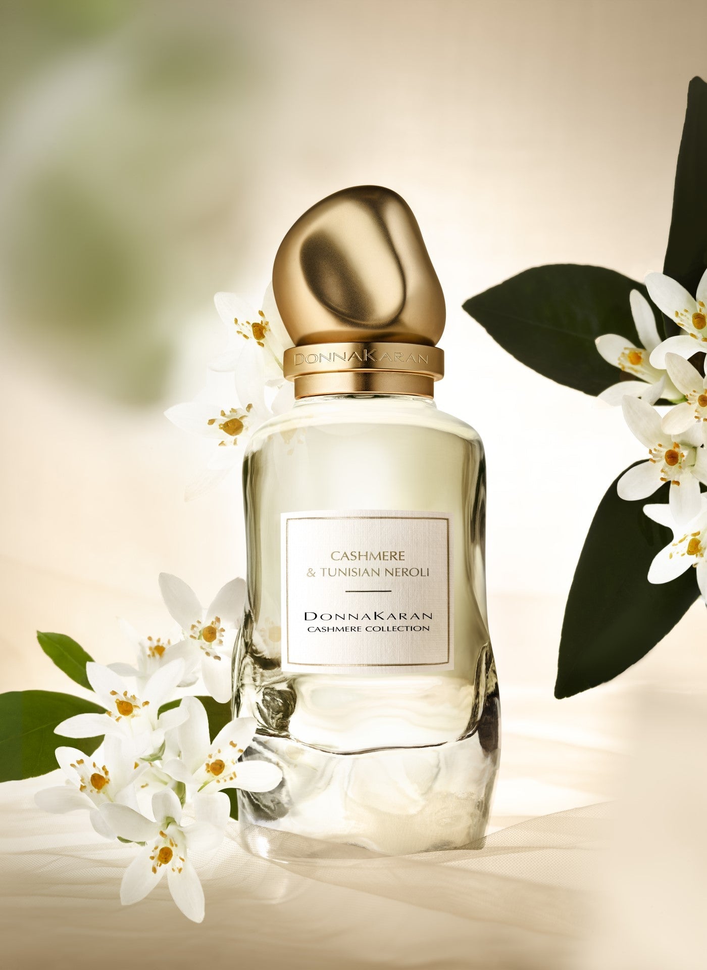 CASHMERE & TUNISIAN NEROLI 100ML Donna Karan